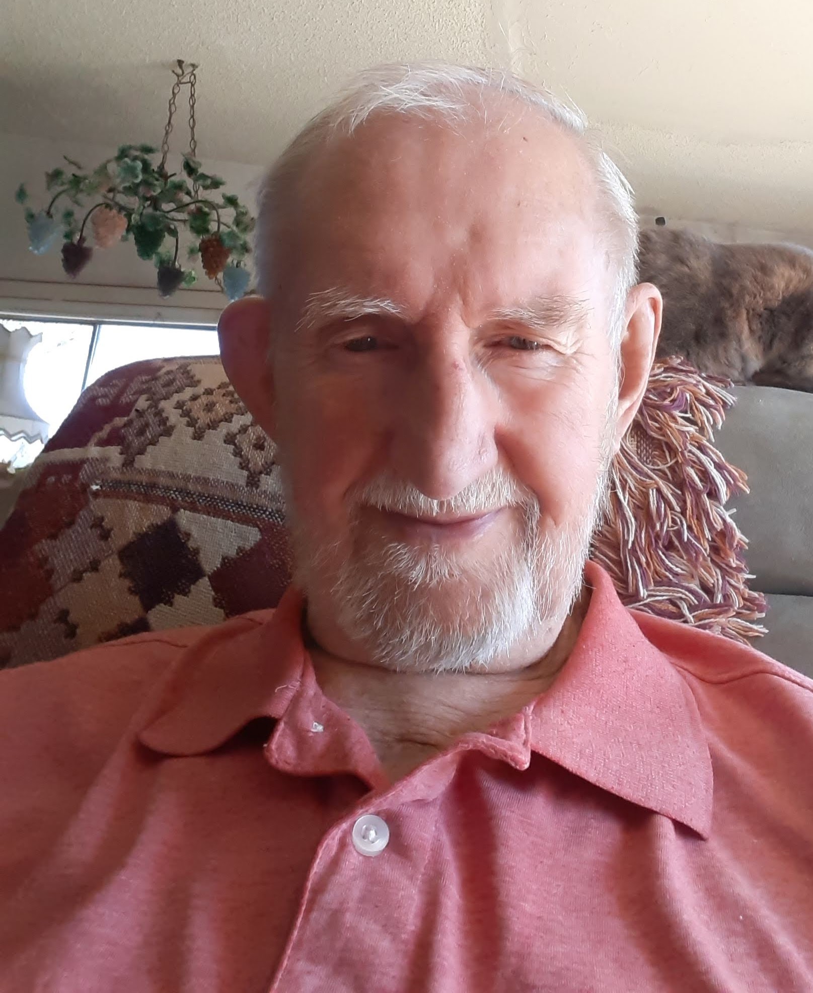 Dave Katen profile picture
